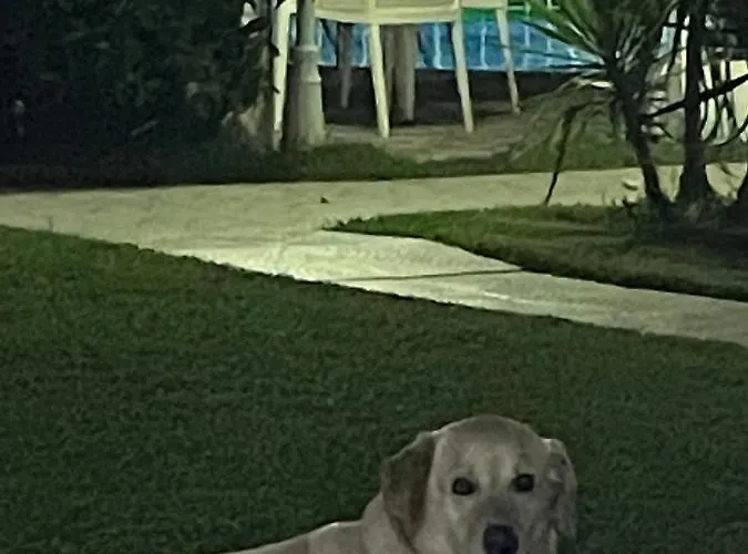 Appartamento Belka Golf Deluxe Poolside *