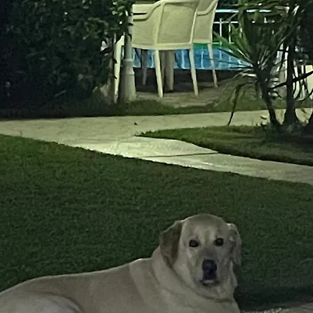 Apartment Belka Golf Deluxe Poolside *